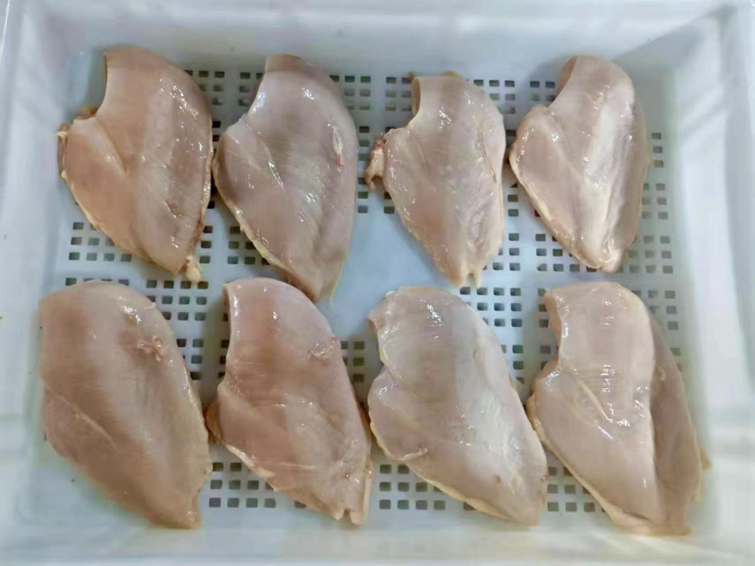 Chicken Breast