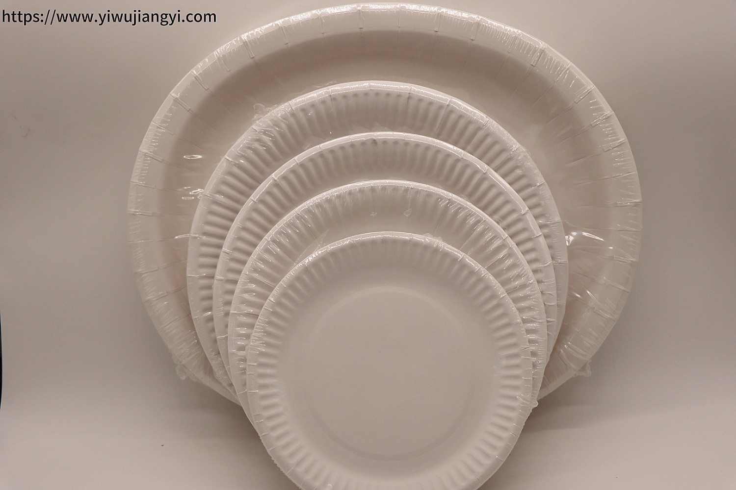 White Disposable Paper Plate