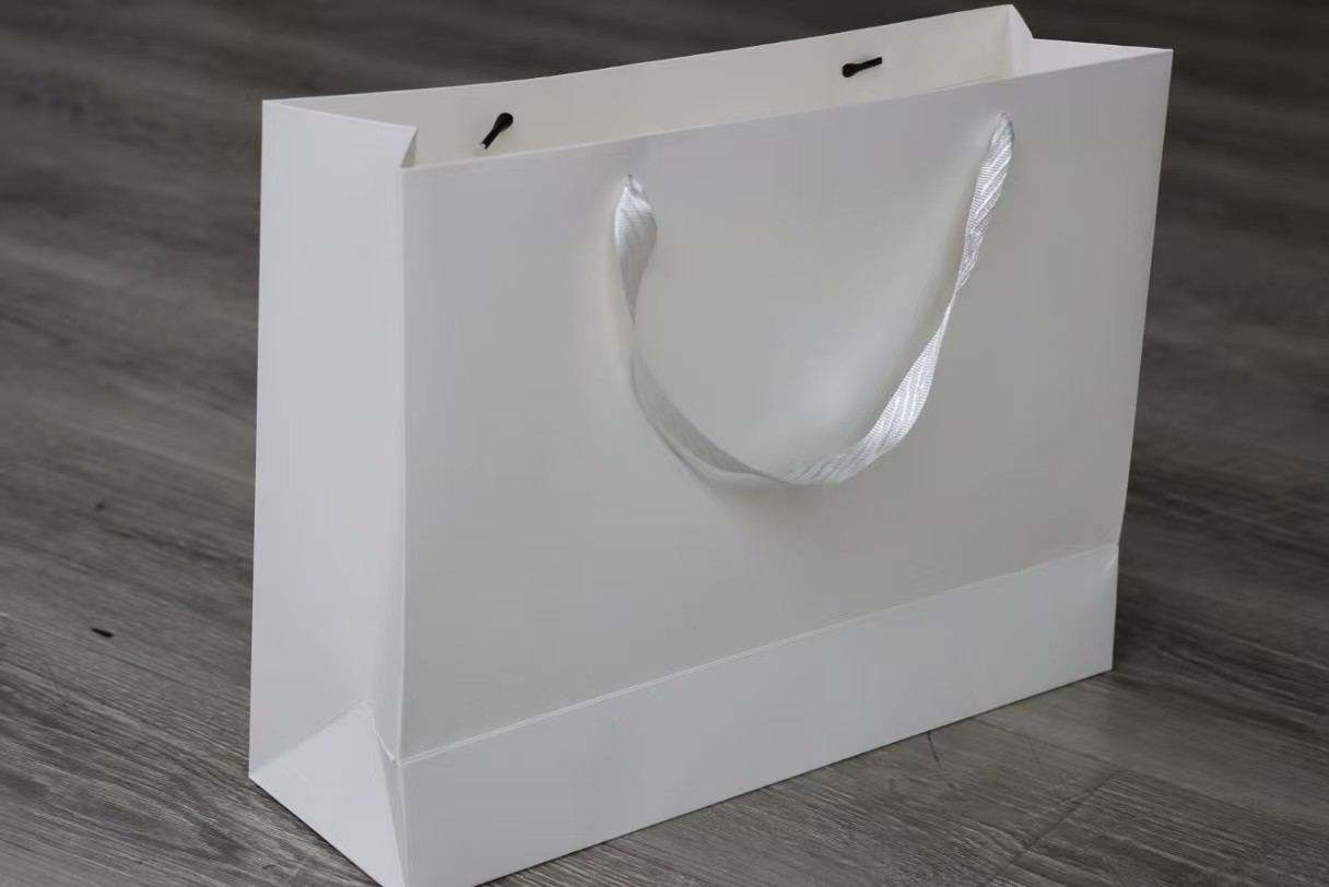 Minimalist White Paper Shopping Bag